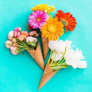 Meet your Posher, Olivia